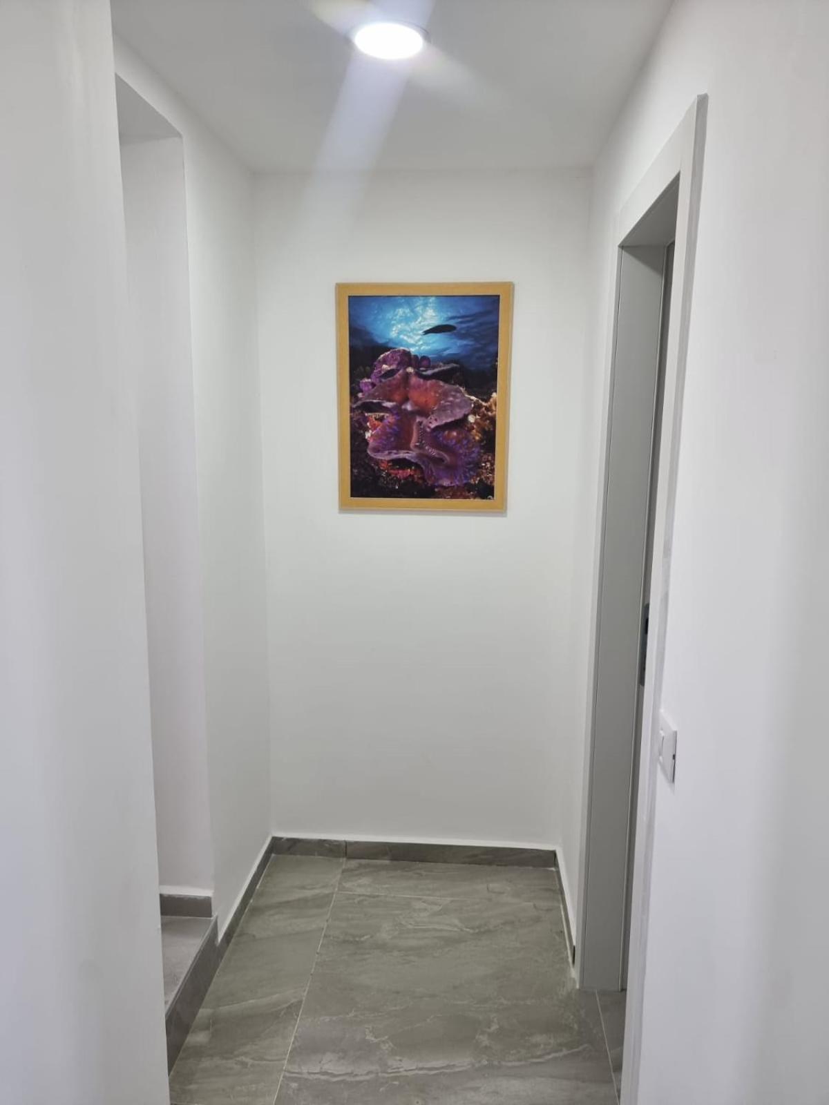 Ferienwohnung דירת גג נוף המפרץ 1105-6 Eilat Exterior foto